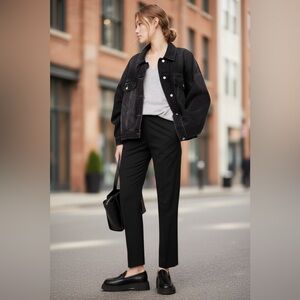 Banana Republic High Rise Tapered Italian Wool Ankle Pant MSRP 170$